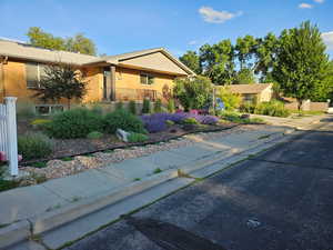 View of home in the summer