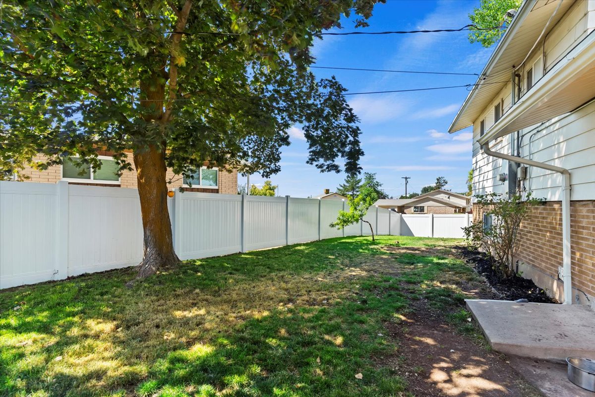 View of fenced backyard