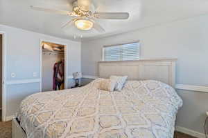 Bedroom featuring carpet flooring, a spacious closet, and ceiling fan