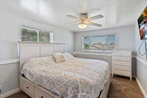 Bedroom featuring dark carpet, multiple windows, and ceiling fan