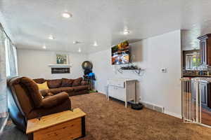 Living area featuring dark colored carpet and a textured ceiling