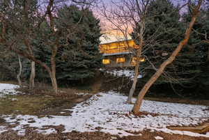 View from backyard to main house