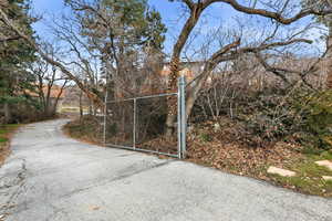 Driveway to Large Open Backyard