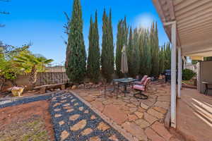 Fenced backyard featuring a patio area, outdoor dining area, and area for grilling