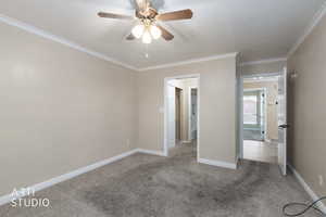 Unfurnished bedroom featuring carpet flooring, crown molding, a ceiling fan, and a textured ceiling