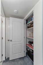 Additional storage closed across from the downstairs bathroom. The door in the back leads to the walk-storage room that will wrap around and come out in the downstairs living room.