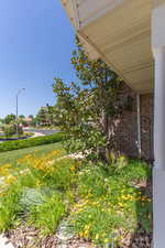 View from front porch looking over the front yard