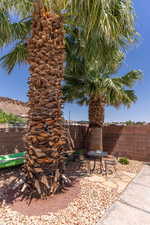 Fenced backyard with outdoor sitting area under the palm trees.