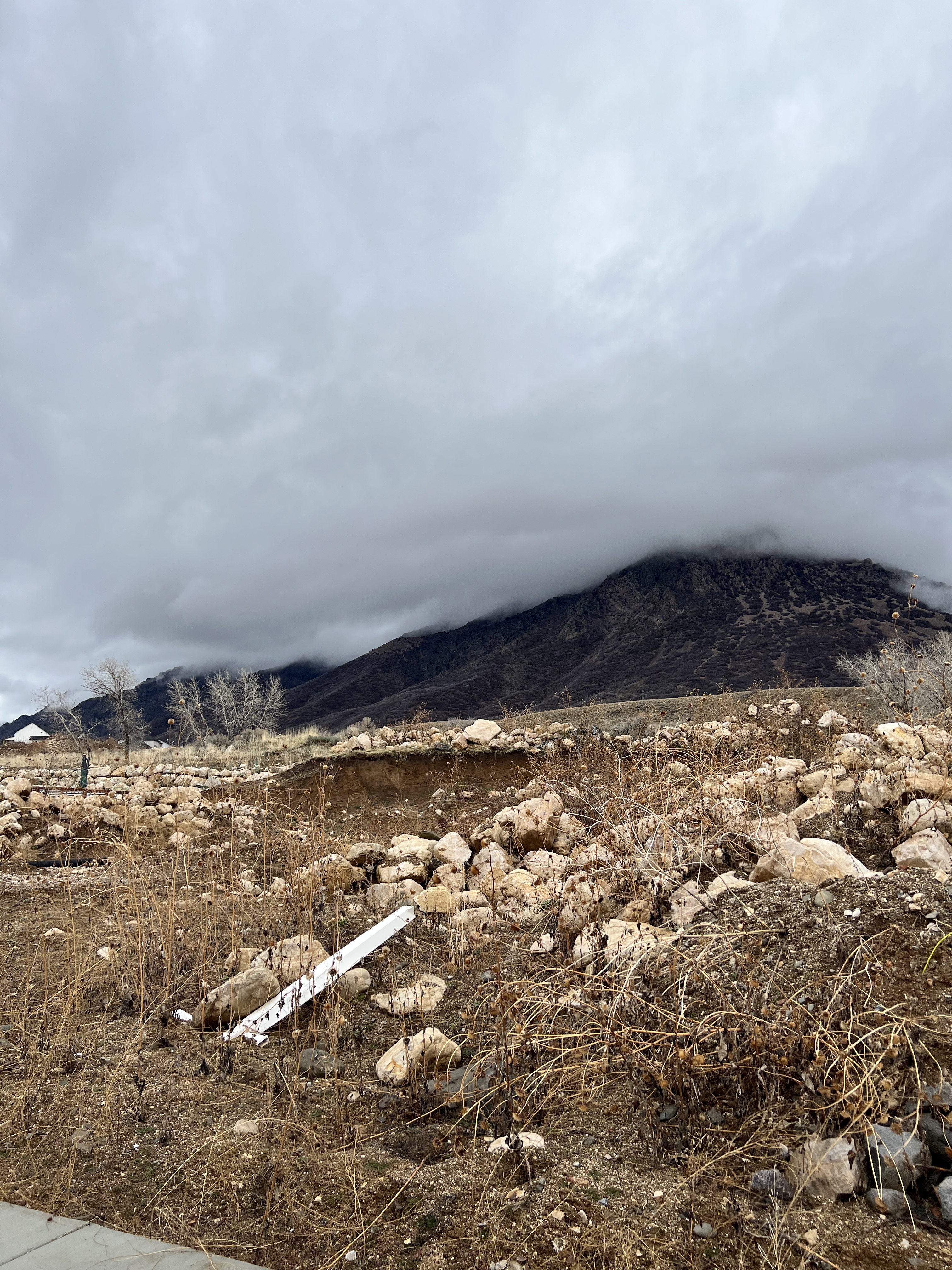 View of mountain background