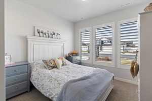 Level 1 guest bedroom featuring new carpet and baseboards