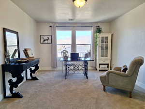 Office area with light colored carpet and a textured ceiling