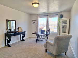 Office featuring carpet flooring and a textured ceiling