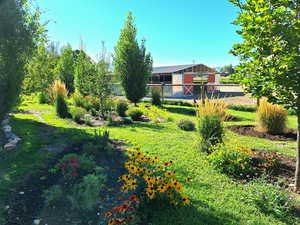 View of grassy yard featuring an outbuilding