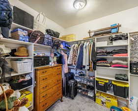 Walk in closet with light colored carpet
