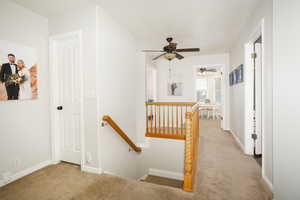 Stairway with carpet and baseboards