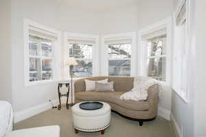 Living area with carpet