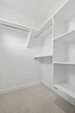 Walk in closet featuring carpet floors