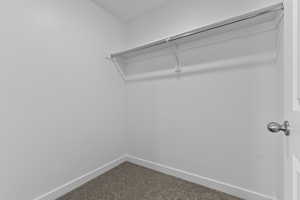 Walk in closet featuring carpet floors