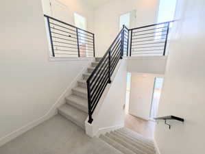 Stairway featuring plenty of natural light, a high ceiling, and carpet flooring