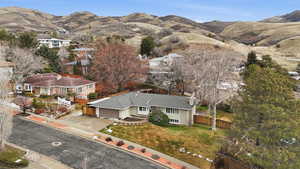 Bird's eye view of a mountainous background