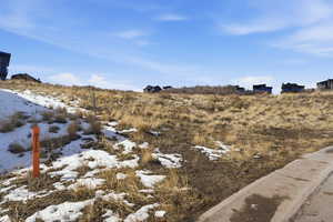 View of local wilderness