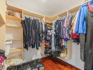 PRIMARY WALK IN CLOSET WITH BUILT-INS