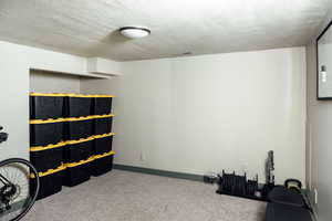 Below grade area with light carpet and a textured ceiling