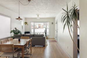 Dining room featuring light wood floors and natural light