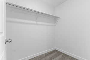 Walk in closet with carpet floors