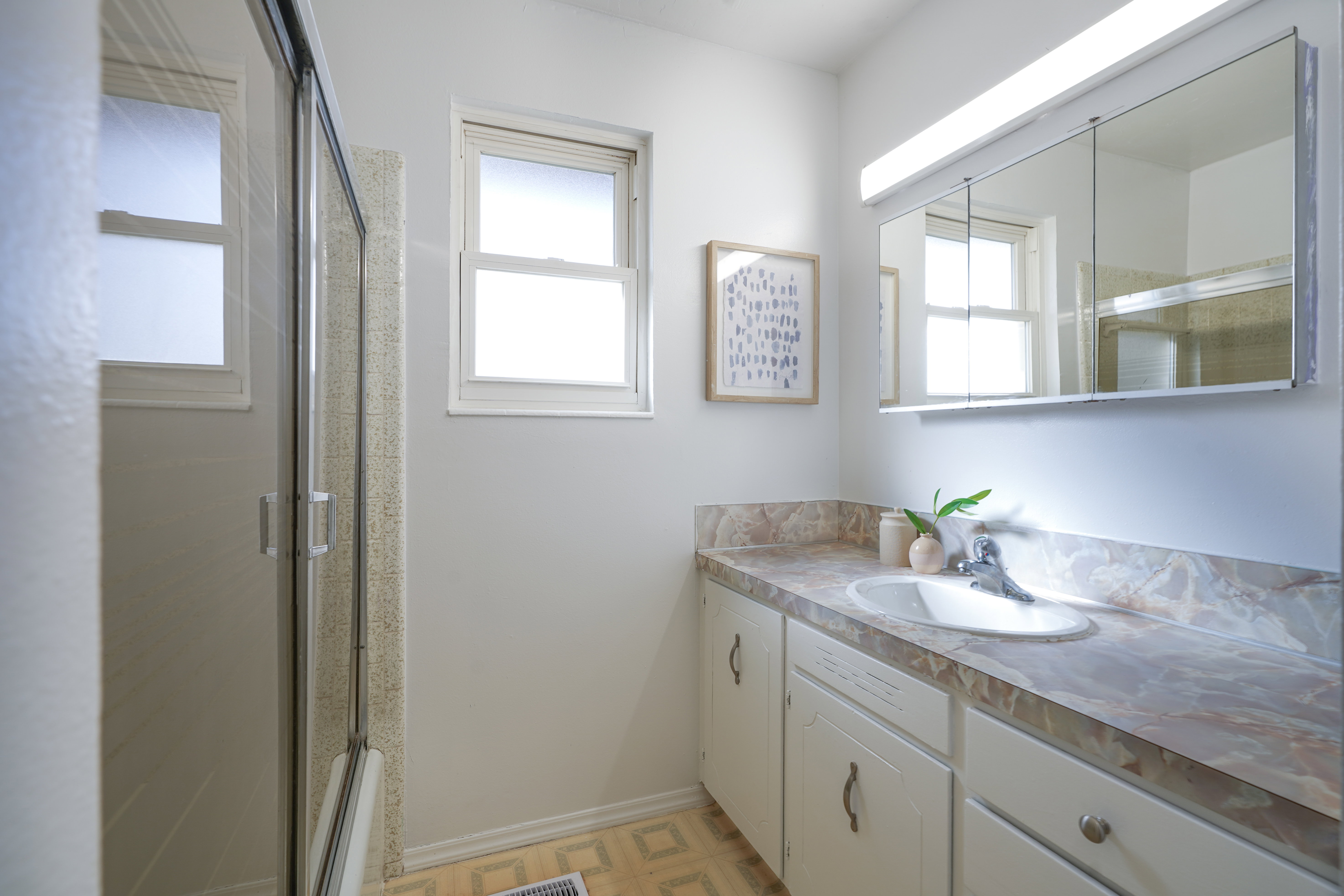 Bathroom featuring vanity, a shower with door, and plenty of natural light