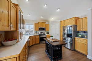 Kitchen with stainless steel appliances, dark wood-type flooring, a kitchen island, wood counters, and dark cabinets