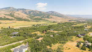Bird's eye view of mountains