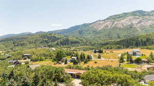 Drone / aerial view of a mountain backdrop and a heavily wooded area