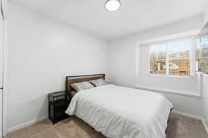 Bedroom with carpet floors