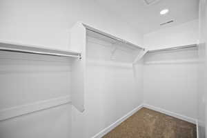 Walk in closet with dark colored carpet