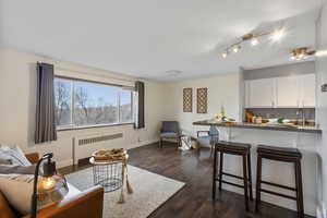 Living room with radiator and dark wood-style floors