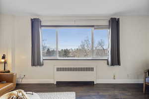 Living area featuring radiator and dark wood-style floors