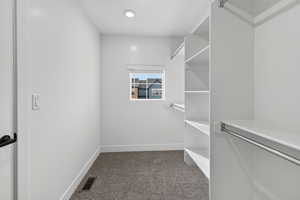 Walk in closet with dark colored carpet