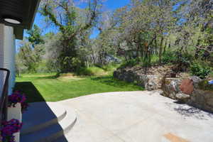 Expansive concrete patio area with curved steps, offering direct access to a grassy yard bordered by mature trees