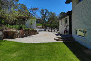 Expansive concrete patio with a curved edge and integrated steps