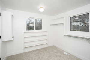 Walk in closet featuring light colored carpet