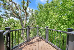 View of wooden terrace