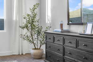 Bathroom featuring vanity, plenty of natural light, and carpet