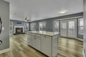 Luxury Vinyl Plank on main floor and basement!