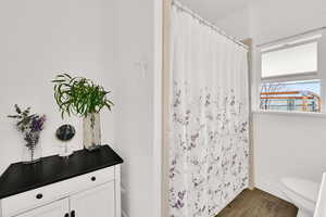 Bathroom with dark wood finished floors, a shower with curtain, and vanity