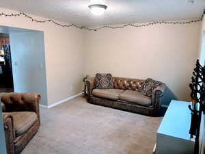 Living area featuring a textured ceiling and carpet