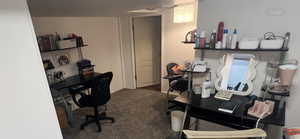 Office space with dark colored carpet