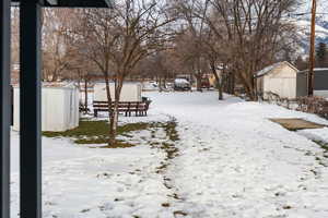 Snowy yard with a shed