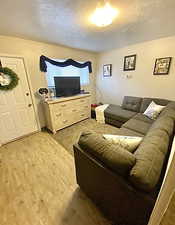 Living room featuring wood finished floors