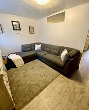 Living room featuring wood finished floors and a textured ceiling